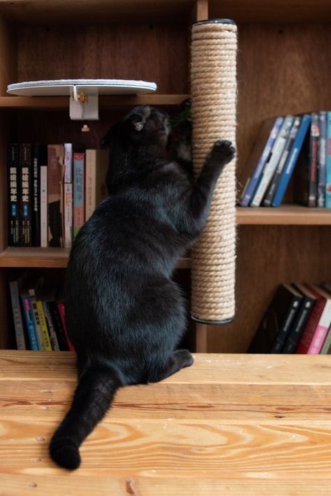 Catssup collection,  Climbing Tower Kit designed by Studio Ryte (available in store Levt), 2019 Photo credits: Studio Ryte Vertical Shelf, Climbing Tower, Shelf Board, Dog Bag, Scratching Post, Miniature House, Felt Ball, Cat Tree, Cat Furniture