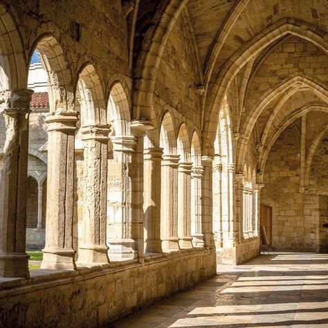 Hallway Columns, Cathedral Hallway, Hogwarts Ambience, Hogwarts Moodboard, Toledo Cathedral, Logo Design Inspiration Vintage, Library Architecture, Hogwarts Aesthetic, The Cloisters