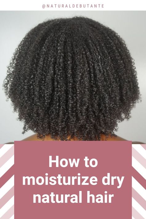 How To Keep Natural Hair Moisturized, Natural Hair Treatments For Dry Hair, How To Add Moisture To Dry Hair, Best Hair Moisturizer For Dry Hair, Dry Natural Hairstyles, How To Moisturize Dry Hair, How To Moisturize Natural Hair, How To Hydrate Hair, Hair Moisturizer For Dry Hair