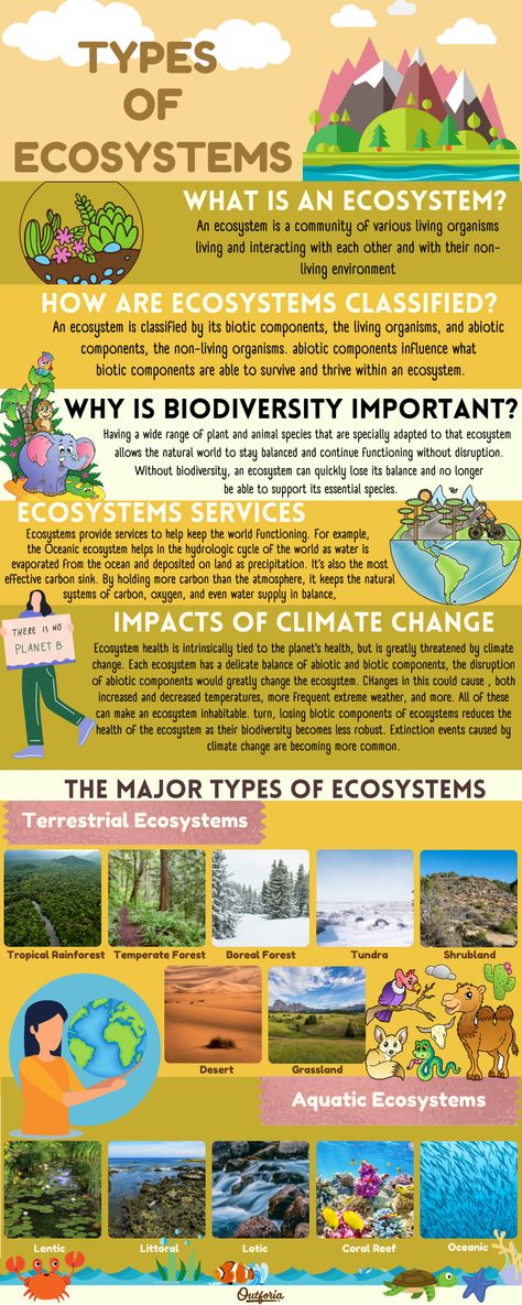 We all live in ecosystems and have an impact on how they work and the other species that are able to live in our shared. So what is an ecosystem? What kind of ecosystem and why are ecosystems important? Read on to see our ultimate ecosystem guide, including what an ecosystem is, why they’re important, and twelve different kinds of ecosystems found in the world. Know Your Ecosystem Project, Ecosystem Kindergarten, Ecosystem Coloring Pages, Ecosystems Projects Grade 7, Forest Ecosystem Drawing, Ecosystem Projects For Kids, Ecosystem Activities For Kids, Eco System Project, Ecosystem Drawing Ideas