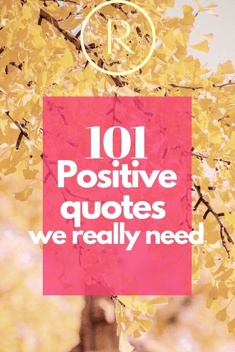 Inspirational Words Of Encouragement, Stay Grateful, Citation Encouragement, Quotes For Teachers, Inspirational Uplifting Quotes, Uplifting Quotes Positive, Inspirational Quotes Encouragement, Vibes Quotes, Positive Encouragement