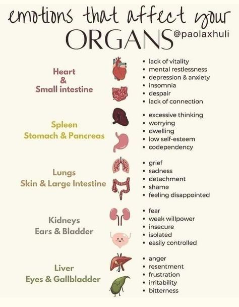 Spleen Deficiency, Pancreas Cleanse, Health Hacks, Naturopathic Doctor, Large Intestine, Low Self Esteem, Healthy Mind, Body And Soul, Insomnia