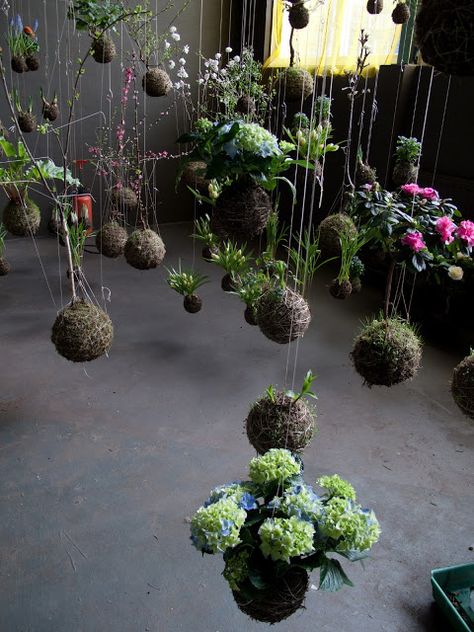 These hanging gardens are so gorgeous! Pot Gantung, String Garden, Urban Gardens, Dessert Tables, City Garden, Plants And Flowers, Hanging Garden, Garden Gates, Succulents Garden