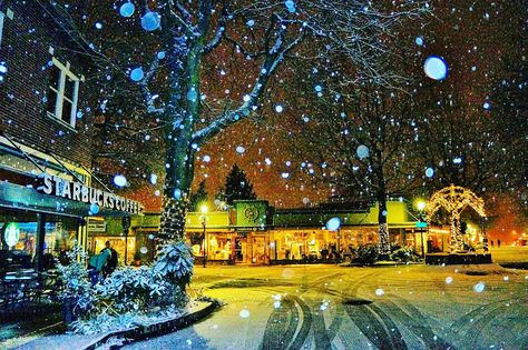 Scene in Edmonds: Postcard perfect snowfall | My Edmonds News Edmonds Washington, Washington State Travel, Scenic Pictures, Seattle Homes, Evergreen State, Winter's Tale, Follow My Instagram, Washington State, Pacific Northwest