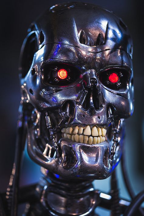 T-800 Terminator Endoskeleton Terminator Endoskeleton, Terminator Movies, Sarah Connor, Cute Skeleton, Arte Alien, Arte Robot, Sci Fi Films, Alien Vs Predator, A Robot