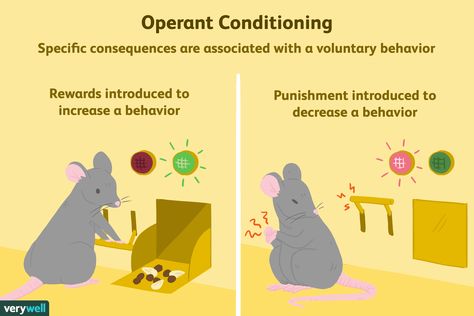 Operant conditioning is one of the fundamental concepts in behavioral psychology. Learn more about the effects of rewards and punishments on behavior. Social Cognitive Theory, Intro To Psychology, Learning Theories, Daycare Organization, Operant Conditioning, Behavioral Psychology, Infant Lesson Plans, Daycare Forms, Behavior Rewards