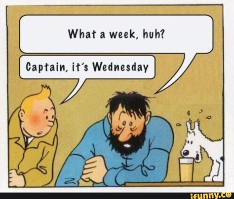 What a week, huh? Captain, it's Wednesday – popular memes on the site iFunny.co #captainamerica #movies #wednesday #what #captain #pic Huh Meme, America Memes, R Memes, Memes Humor, Art Memes, Know Your Meme, Edgy Memes, Best Funny Pictures, Best Memes