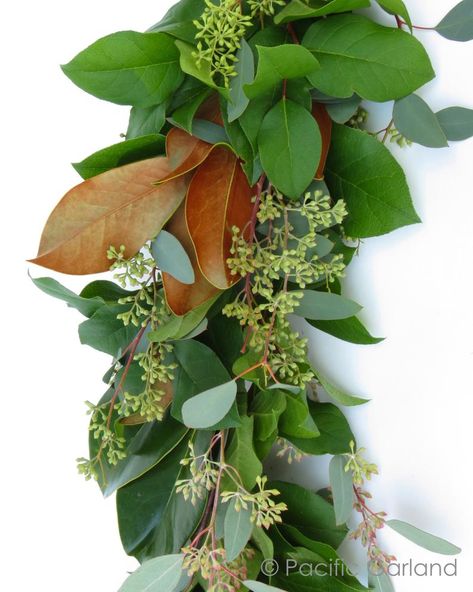 Magnolia Leaves Centerpiece, Eucalyptus Wreaths, Different Greens, Magnolia Decor, Magnolia Garland, Thanksgiving Garland, Fresh Garlands, Eucalyptus Garland, Seeded Eucalyptus