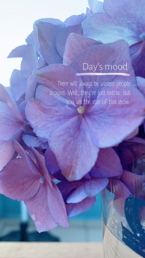 #mood #lifequote #wallpaper #flowers #hydrangeas #purple #lilac #lilacaesthetic #ig Hydrangea Quotes, Wallpaper Flowers, Word Meaning, Purple Lilac, Hydrangea, Lilac, Meant To Be, Life Quotes, Purple