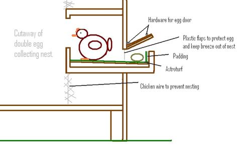 Slanted Laying Nest... Easy Egg Collection and Fewer broken eggs.. Also keeps hens from setting Chicken Laying Boxes, Chicken Nesting Boxes, Backyard Chicken Farming, Chicken Cages, Chicken Coop Designs, Egg Drop, Keeping Chickens, Building A Chicken Coop, Egg Box