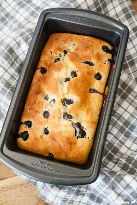 Greek Yogurt Blueberry Bread, Blueberry Loaf Bread, Healthy Blueberry Bread, Greek Yogurt Bread, Diet Sweets, Greek Yogurt Blueberry, Blueberry Quick Bread, Blueberry Zucchini Bread, Blueberry Loaf Cakes