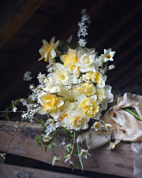 1,551 Likes, 21 Comments - Emily Avenson (@fleuropean) on Instagram: “So many beautiful, buttery varieties of daffs... next come the peaches and apricots! :D” Flower Aesthetics, Gold Winter Wedding, Pastel Bouquet, Yellow Bouquets, Narcissus Flower, Winter Bouquet, Bouquet Arrangements, Flower Therapy, Floral Display