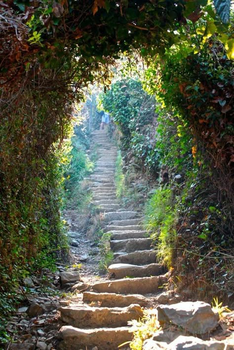 ✯ Cinque Terre trails - Italy: Stone Steps, Cinque Terre Italy, The Secret Garden, Visit Italy, A Hill, Alam Yang Indah, Nature Aesthetic, Beautiful Places To Visit, Pretty Places