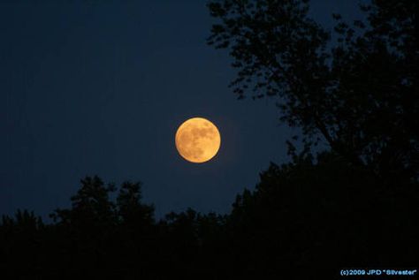 The harvest moon is something I wait for every autumn, and it never disappoints. Yellow Moon Aesthetic, Buttercup Cottage, Moon Obsession, Blue Windows, Stars Yellow, Mother Moon, Cowrie Shell Jewelry, Solstice Celebration, Moonlight Photography