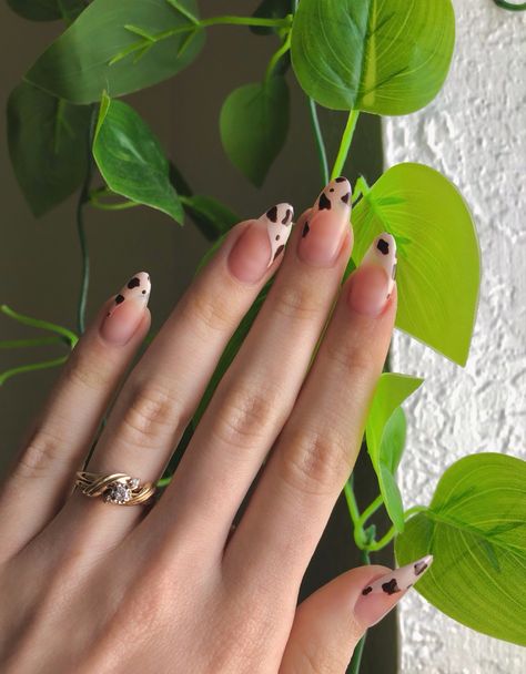 Almond Shape Cow Print Nails, Cow Nails Almond Shape, Cow Almond Nails, Almond Nails Cow Print, Cow Nails Brown, Almond Cow Print Nails, Brown Nails Acrylic Almond, Cow Print Nails Brown, Brown Almond Acrylic Nails