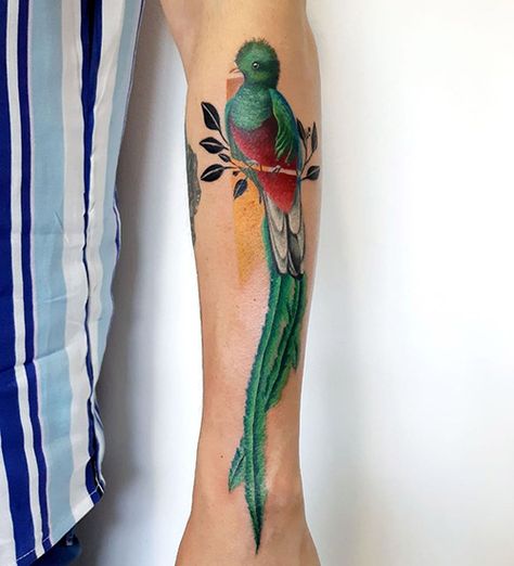 33 Adorable Bird Tattoo Designs With Meanings Tropical Bird Tattoo, Guatemala Tattoo Ideas Design, Quetzal Bird Tattoo, Guatemalan Tattoo, Guatemala Tattoo Ideas, Flower Tattoo Black And White, Guatemala Tattoo, Flower Tattoo Black, Quetzal Tattoo