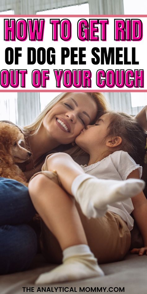 Are you suffering from a smelly couch because your puppy or your little kitten pee on it and no matter what you did, the smell didn't go away? If so, you'll be shocked to know this tip works wonders to get rid of aged urine scent on your couch without damaging your sofa. Cleaning Dog Pee, Pet Urine Smell, Dog Pee Smell, Kid Friendly Home, Cat Pee Smell, Pee Stains, Pee Smell, Home Decor Photos, Kid Room Ideas