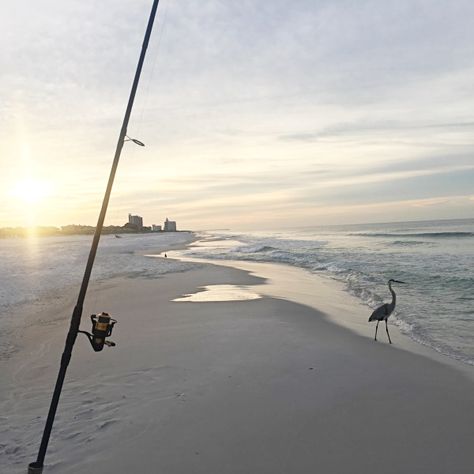 Beach Fishing On A Family Vacation - A Beginner Surf Fishing Gameplan Surf Rods, Salt Water Fishing, Surf Fishing, Rosemary Beach, Beach Fishing, Pier Fishing, How To Go, Coastal Beaches, Red Fish