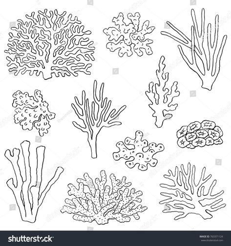 Corals hand drawn illustrations. Ocean plants and coral reef elements isolated on white. Vector corals graphic collection. #Ad , #Ad, #Ocean#plants#coral#illustrations Coral Reef Plants, Coral Reef Drawing, Coral Tattoo, Coral Drawing, Coral Reef Art, Plants Drawing, Ocean Plants, Ocean Drawing, Sea Drawing