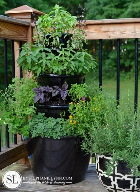 Stack a few bricks — or any other sturdy material — inside the largest planter so that the second tier has a pedestal to stand on. Make sure that whatever material you use to stack the planters leaves enough space for drainage. Fill the bottom planter with soil before adding a third tier. Patio Herb Garden, Herb Garden Pots, Herb Garden Planter, Tiered Planter, Garden Shelves, Vertical Herb Garden, Tower Garden, Garden Wallpaper, Herb Planters