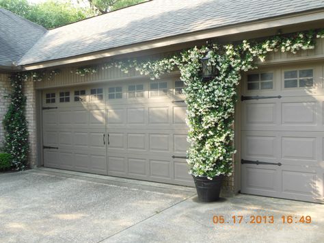 Confederate Jasmine growing between garage doors Garage Trellis, Carriage Garage, Carriage Style Garage Doors, Carriage House Garage Doors, Double Garage Door, Garage Door House, Carriage Garage Doors, Carriage House Garage, Garage Door Decor