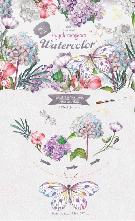 Hydrangea flowers by Mikibith on @creativemarket Lilac Watercolor, Narcissus Flower, Watercolor Postcard, Hydrangea Flowers, Diy Watercolor, Lilac Flowers, Hydrangea Flower, Creative Sketches, Pencil Illustration