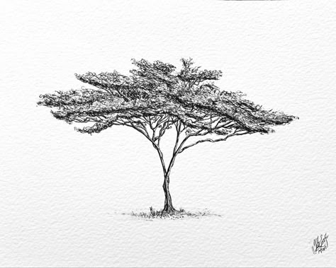 Kenya Tattoo Ideas, Acacia Tree Drawing, African Tree Tattoo, Acacia Tree Tattoo, Acacia Tattoo, Tree Ink Drawing, African Trees, Tree Line Drawing, Tree Black And White