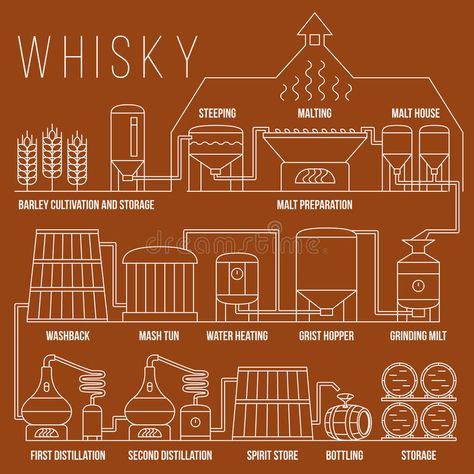 Whiskey production process vector infographic template vector illustration Bourbon Whiskey Brands, How To Make Whiskey, Beer Factory, Process Chart, Process Infographic, Whisky Cocktails, Spirit Store, Whiskey Brands, Distillation Process