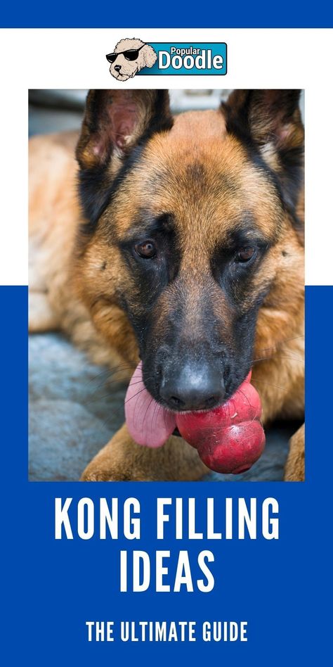 Learn exactly how to fill a Kong toy and discover the best Kong filling recipes and Kong filling ideas. Your dog will thank you! Kong Filling Ideas, Kong Stuffing Recipes, Kong Treats, Kong Stuffing, Kong Recipes, Outdoor Dog Toys, Cute Dog Toys, Frozen Dog Treats, Crate Training Puppy