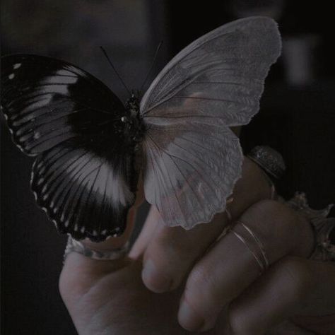 천사와 악마, Fae Aesthetic, Black And White Butterfly, Dark Fairycore, Royal Aesthetic, Dark Academia Aesthetic, Fantasy Aesthetic, White Butterfly, Aesthetic Images