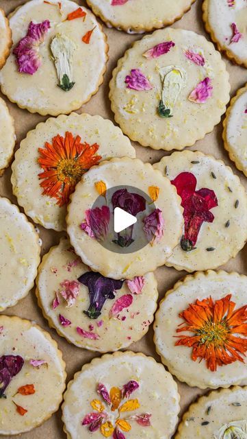 Kat Higashiyama & Alec Totto | Food & Recipes on Instagram: "🌼 Comment FLOWER and we’ll DM you the recipe 🌸 When our garden is in full bloom, we love to make these Edible Flower Shortbread Cookies 🌼  They’re a buttery lemon shortbread cookie dipped in a lemon vanilla bean glaze, and topped with pressed edible flowers (we share our easy tips for pressing/ drying flowers first on our site). They make a lovely gift or activity for a garden party, they’re fun to customize, & the recipe is surprisingly easy to make!  Some of my favorite flowers to use are: 🌼 Calendula 🌸 Pansies 🪻 Lavender 🌹 Roses 💐 Snapdragons  🌸 Find the full recipe for Edible Flower Cookies on The Heirloom Pantry and make a batch of these beauties! #edibleflower #shortbreadcookies #edibleflowercookies" Flower Cookies Easy, Flower Shortbread Cookies, Flower Shortbread, Drying Flowers, Lemon Shortbread, Lemon Shortbread Cookies, Shortbread Cookie, Flower Cookies, Bakery Business