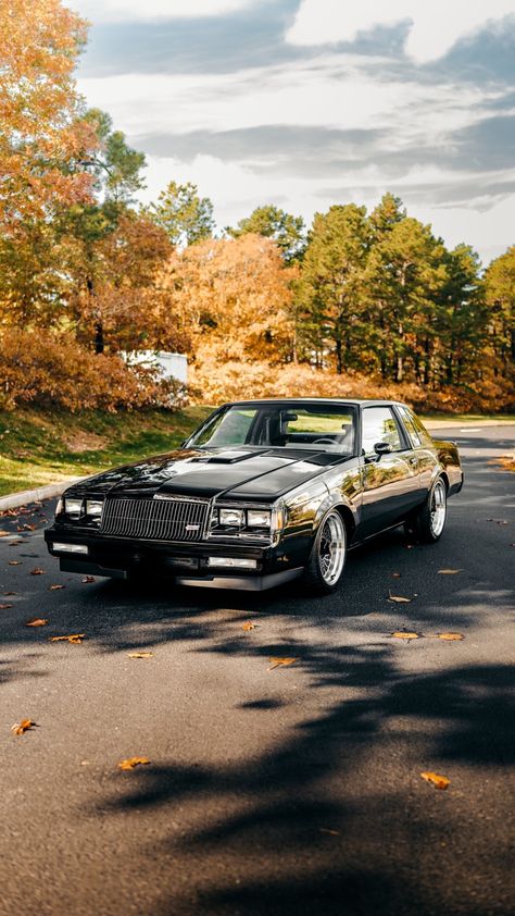 1987 Buick Regal, Buick Grand National Gnx 1987, Gnx Car, Gnx Buick, Buick Gnx 1987, Buick Grand National 1987, Grand National Buick, 1987 Grand National, Buick Regal Grand National