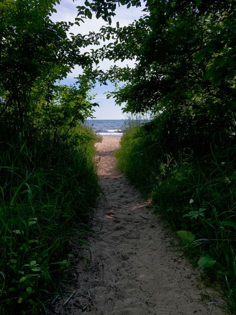 Beach Next To Forest, Forest By The Sea, Pjo Fanfic, Caribbean Life, Beach Path, House Landscaping, Secluded Beach, Marine Biology, House Landscape