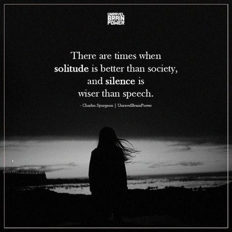 There are times when solitude is better than society, and silence is wiser than speech. - Charles Spurgeon Solitudeness Quotes Short, Solitary Quotes Life, Solitudeness Quotes Aesthetic, Solitudeness Quotes, Silence Is Better, Silence Quotes, Charles Spurgeon, Life Lesson, Brain Power