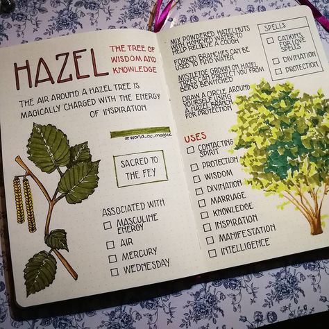 Herb Journal, Witch Spring, Tree Of Wisdom, Magickal Herbs, Green Witchcraft, Plant Journal, Grimoire Book, Magic Herbs, Spiritual Journals