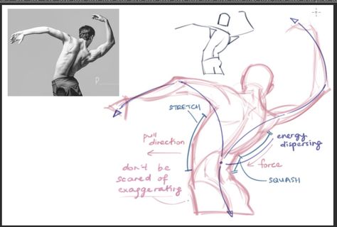 Fluid Poses Reference, Fluid Poses, Make Poses, Pose Tutorial, Clip Studio Paint Brushes, No One Asked, Anatomy Tutorial, Human Anatomy Drawing, Human Anatomy Art