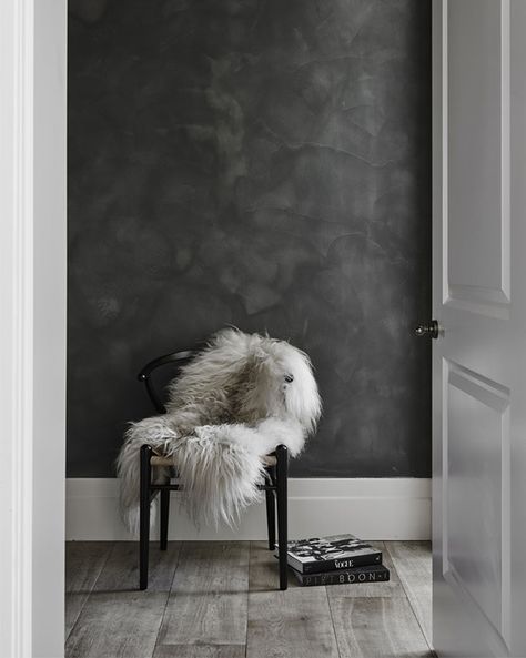 ❤️ Scandinavian Exterior Design, Tv Fal, Venetian Plaster, Black Wall, Scandinavian Home, Scandinavian Interior, New Wall, Wall Paint, Home Interior