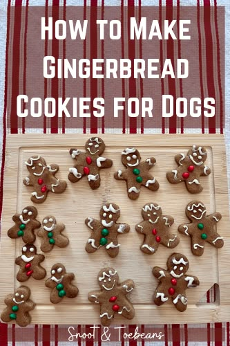 Make Gingerbread Cookies, Cookies For Dogs, Pup Treats, Fun Holiday Treats, Pet Treats Recipes, Christmas Dog Treats, How To Make Gingerbread, Easy Dog Treat Recipes, Dog Biscuit Recipes