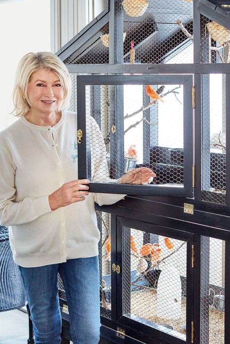 Our founder Martha Stewart shares her best advice for raising and owning dogs, cats, birds, and other animals to get along at home. #diypets #diyprojects #marthastewart #petbeds #petfurniture #pets Dog Whining, Budgie Cage, Diy Bird Cage, Bird Cage Design, Backyard Coop, Blue Parakeet, Parakeet Cage, Pet Bird Cage, Marley Spoon