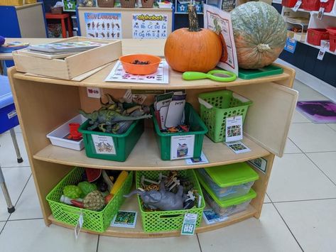 Science Preschool Center, November Classroom, Pre-k Science, Science Decor, Preschool Class, Pre Kindergarten, Social Studies Lesson, Apple Theme, Science Center