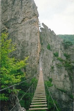 Seneca Rocks, West Virginia Travel, Almost Heaven West Virginia, Virginia Travel, Country Roads Take Me Home, Vacation Pictures, On The Road Again, Take Me Home, Go Camping