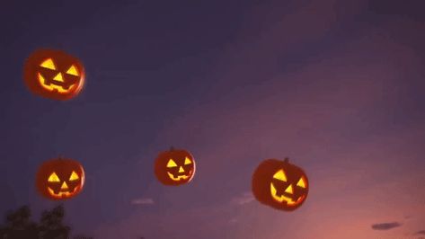 trending GIFs Halloween Gifs Pfp, Halloween Discord Banner Gif, Halloween Gifs Aesthetic, Halloween Pfp Gif, Halloween Banner Gif, Halloween Banner Discord, Gif Halloween, Anime Banners, Halloween Gifs