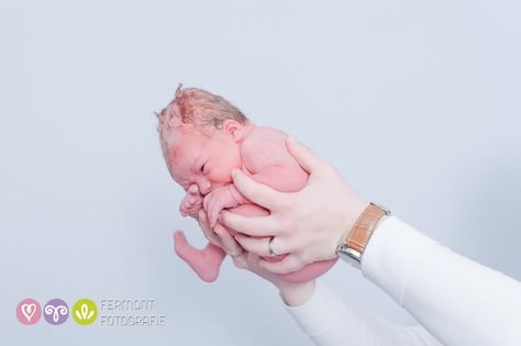 Image Baby In Womb, Baby Curls, Newborn Birth, Fetal Development, Birth Photographer, Baby Faces, Do Baby, Baby Fits, Birth Photography