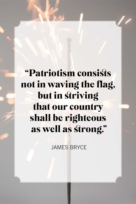 patriotic quotes James Bryce Constitution Quotes Freedom, Patriotic Sayings America Quotes, Patriotism Quotes, Constitution Quotes, America Quotes, Patriotic Quotes, I Pledge Allegiance, American Quotes, Veteran's Day