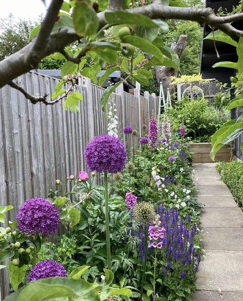 White Hydrangea Garden, Cottage Garden Border, Cottage Garden Borders, Butterfly Sanctuary, Bulb Ideas, Shade Loving Shrubs, Modern Gardening, Formal Garden Design, Allium Flowers