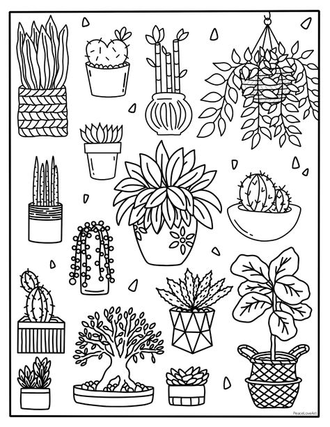 Cactus Drawing Easy, Cactus House, Succulents Drawing, Plant Doodle, Round Robin, Plant Drawing, Tat Ideas, Cool Coloring Pages, Bullet Journal Doodles