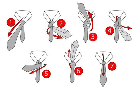 A step by step illustration of how to tie a tie. This illustration uses numbers to show the steps of this process Different Types Of Ties, How To Tie A Necktie, Windsor Tie Knot, Tie A Tie Easy, Windsor Tie, Half Windsor, Tie A Necktie, Types Of Ties, Windsor Knot