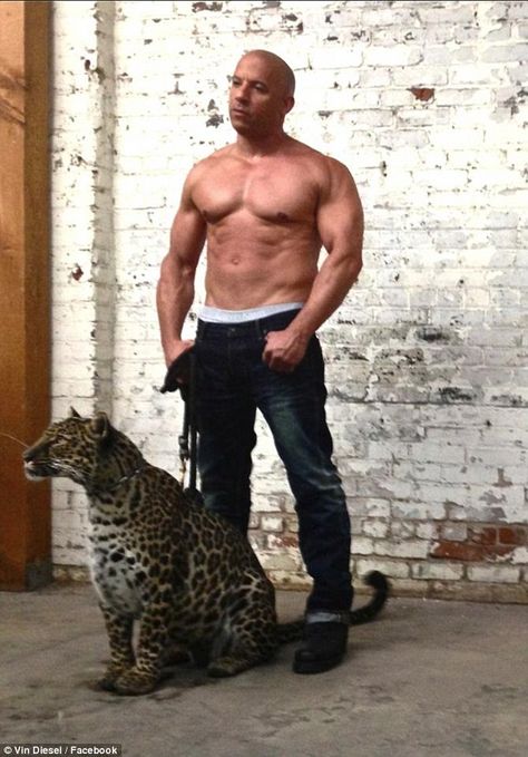 yum vin diesel and his wittle putty tat  Mark Sinclair Vincent dit Vin Diesel est un acteur, scénariste et producteur de cinéma américain né le 18 juillet 1967. Il est révélé par un petit rôle dans Il faut sauver le soldat Ryan, avant de tenir l'affiche de succès comme Les Chroniques de Riddick et Fast and Furious. Vin Diesel Shirtless, Workout Man, Dominic Toretto, Male Celebrities, Michelle Rodriguez, Vin Diesel, Paul Walker, Dwayne Johnson, Snl