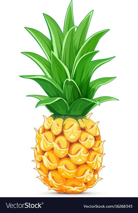 Pineapple with green leaf Royalty Free Vector Image Pineapple Illustration, Fruit Clipart, Flamingo Birthday Party, Leaf Clipart, Fruit Decorations, Fruit Illustration, Leaves Vector, Art Drawings For Kids, Fruit Snacks