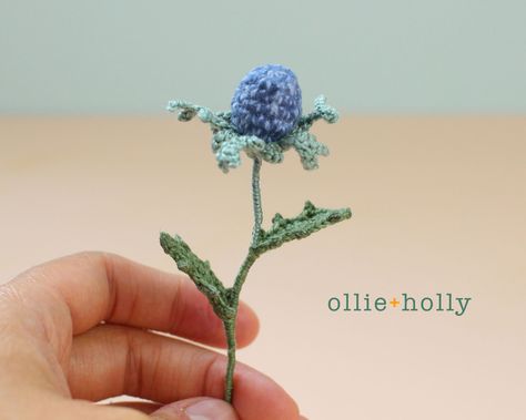 - Page 7 of 9 Ollie + Holly | Amigurumi Crochet Patterns Flowers Crochet Pattern, Crochet Succulent, Blue Thistle, Japanese Crochet, Crochet Flowers Free Pattern, Flowers Crochet, Crochet Bouquet, Crocheted Flowers, Thistle Flower